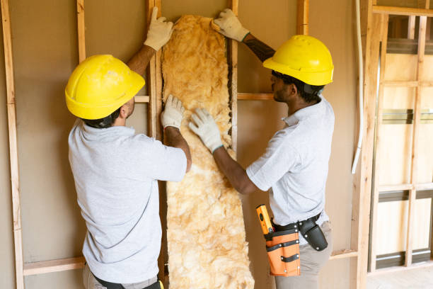 Best Basement Insulation  in Jacksonvle, IL